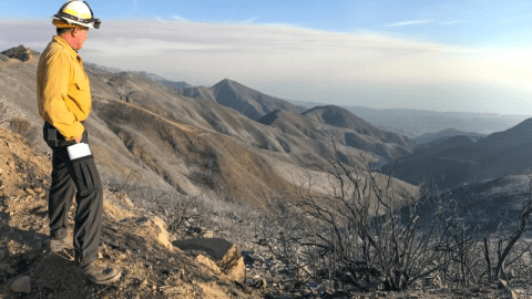 De las 281,893 hectáreas quemadas, 181,333 se encontraban en el Bosque Nacional Los Padres.