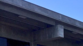 Este año los asistentes disfrutaron de una exhibición de autos clásicos.