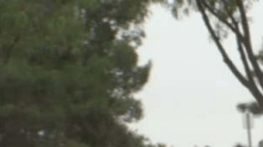 Los ladrones habian excavado en el suelo y robado la válvula de reflujo.