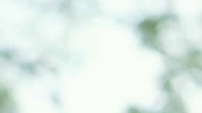 Vince Vaughn en The Internship,