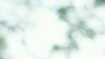 Vince Vaughn en The Internship,