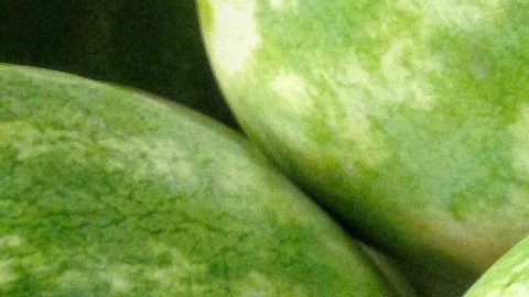 Melones de agua.