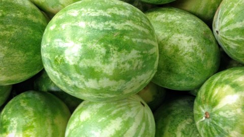Melones de agua.