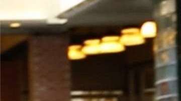 Zaida Pugh cuando fue detenida