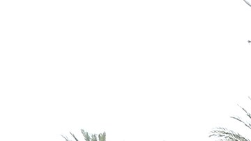 La Plaza México, un lugar de gran simbolismo para la comunidad mexicoamericana en Los Ángeles, se declara en bancarrota. (Aurelia Ventura/ La Opinion)