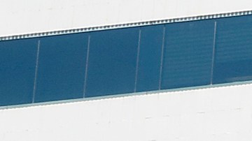 Manifestantes exigen cambios al DCFS. (Aurelia Ventura)