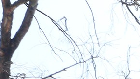 07/03/18 / LOS ANGELES/ A handful of children protest, in front of the Los Angeles federal building, the separation of immigrant children from their parents. (Aurelia Ventura/La Opinion)Ê
