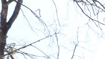 07/03/18 / LOS ANGELES/ A handful of children protest, in front of the Los Angeles federal building, the separation of immigrant children from their parents. (Aurelia Ventura/La Opinion)Ê