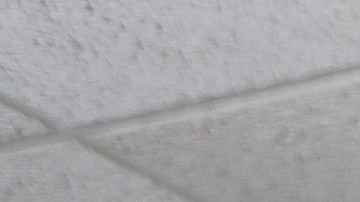 Patricia y Juan Ochoa con su hija Ariana en el despacho del abogado de migración, Alex Galvez.  (Aurelia Ventura/ La Opinion)