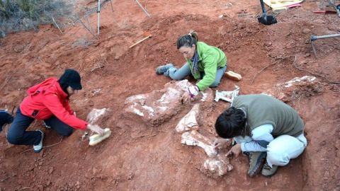 Los dinosaurios desparecieron hace más de 65 millones de años.
