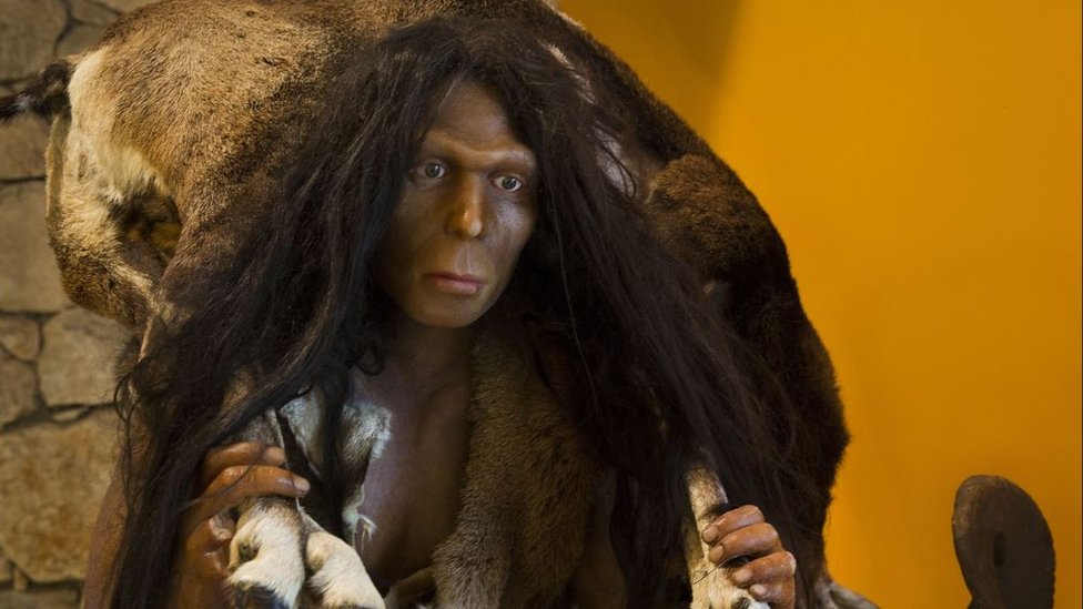 ¿Fue el Homo erectus el primer homínido que salió de África?