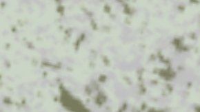 Ilustraciones realizadas por Emma Russell.