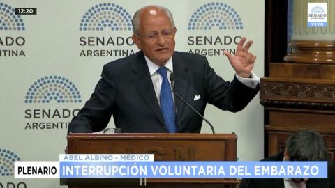 La ley que divide al país se votará el 8 de agosto.
