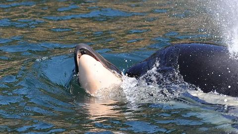 La madre trató de mantener a flote el cadáver.