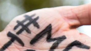 Las imágenes han sido vistas más de un millón de veces en YouTube