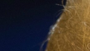 El gobierno tiene hasta el jueves para devolver a más de 2000 niños a sus familias