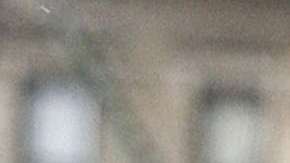 Michael Cohen, exabogado de Donald Trump