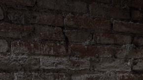 Andrés Manuel López Obrador, virtual presidente de México.