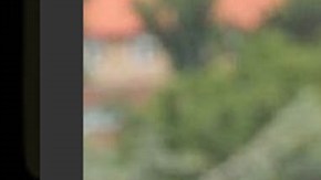 Roger Federer llamó la atención con una playera de Plaza Sésamo