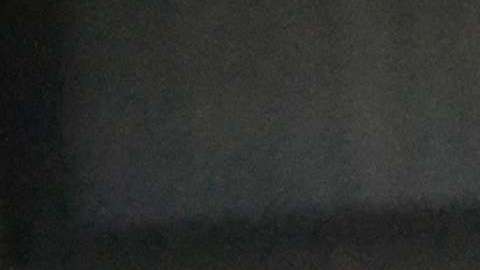 ICE ha auditado a 5,200 negocios.