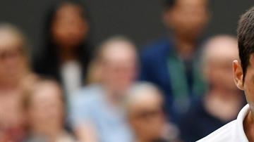 Novak Djokovic manifestó abiertamente su apoyo a Croacia en la final de Rusia 2018