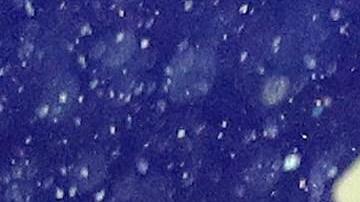 Los franceses con la Copa. EFE