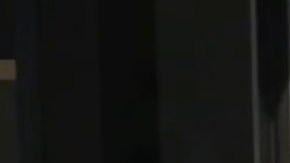 La abogada Annee Della Donna cree que William Evins era inocente.