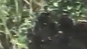 El abuelo ha sido puesto en libertad bajo fianza.