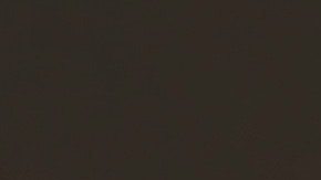 Trump tiene malas relaciones comerciales con los principales compradores de EEUU.