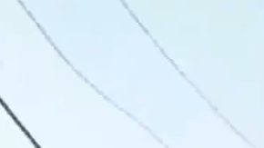 El árbol cayó alrededor de las 7:40 p.m. el sábado en Roscomare Road.