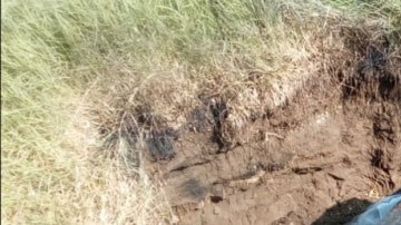 Accidente Banda Trilladora