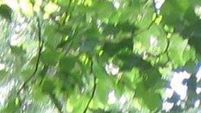 El vehículo transitaba la ruta de Edgartown a Oak Bluffs.