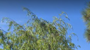 El incidente ocurrió frente al Hospital St. John's.