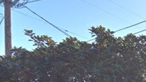 El incidente ocurrió en la cuadra 900 de 4th Avenue.