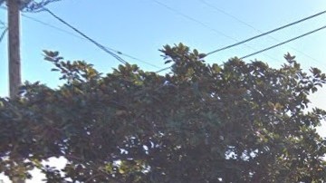 El incidente ocurrió en la cuadra 900 de 4th Avenue.