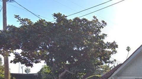 El incidente ocurrió en la cuadra 900 de 4th Avenue.