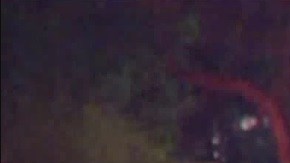 El incidente ocurrió cerca de la intersección de Plummer Street y Noble Avenue.