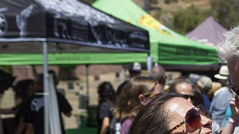 Más de 45 cervecerías locales independientes, sidrerías y bodegas estuvieron presentes.