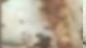 Cerdo con cara de humano