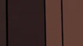 Selenis Leyva en Ducktales