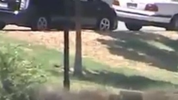 Las autoridades rastrearon todo el lago del parque hasta encontrar el cuerpo del joven.