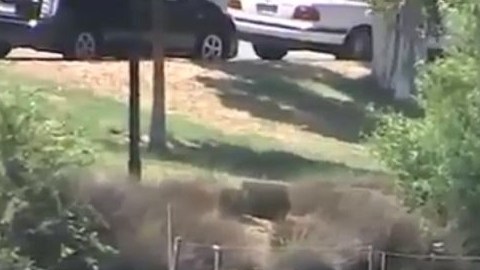 Las autoridades rastrearon todo el lago del parque hasta encontrar el cuerpo del joven.