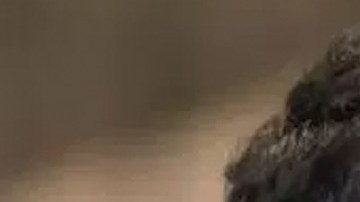 El Chapo 3 vs El Señor de los Cielos 6