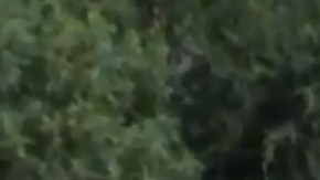 El incidente tuvo lugar en el área de Canyon Country.