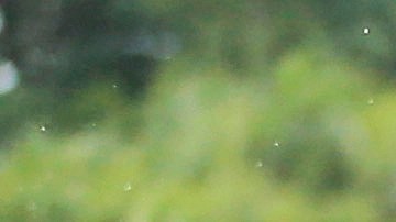 Erasmo Provenza es el narrador de cada circuito