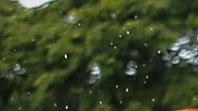 Cada equipo es conformado por 10 integrantes