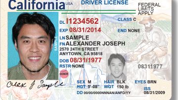 Licencia de manejo  no apegada a los requisitos de la ley Real ID. (Foto suministrada DMV).
