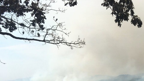 Más de 3,000 bomberos luchan contra el incendio de Ferguson.
