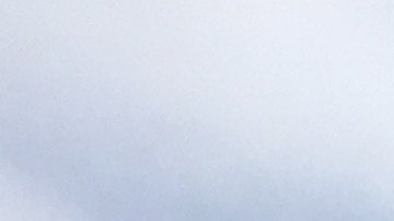 Los expertos envolvieron los fósiles en yeso y chamarra de arpillera.