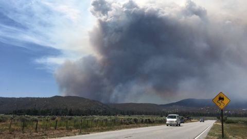 El fuego estalló en el Bosque Nacional de San Bernardino.